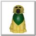 Cool Dog