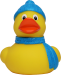 Winter Duck