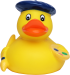 Artist Duck