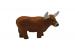 Longhorn Cow
