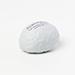 Brain 